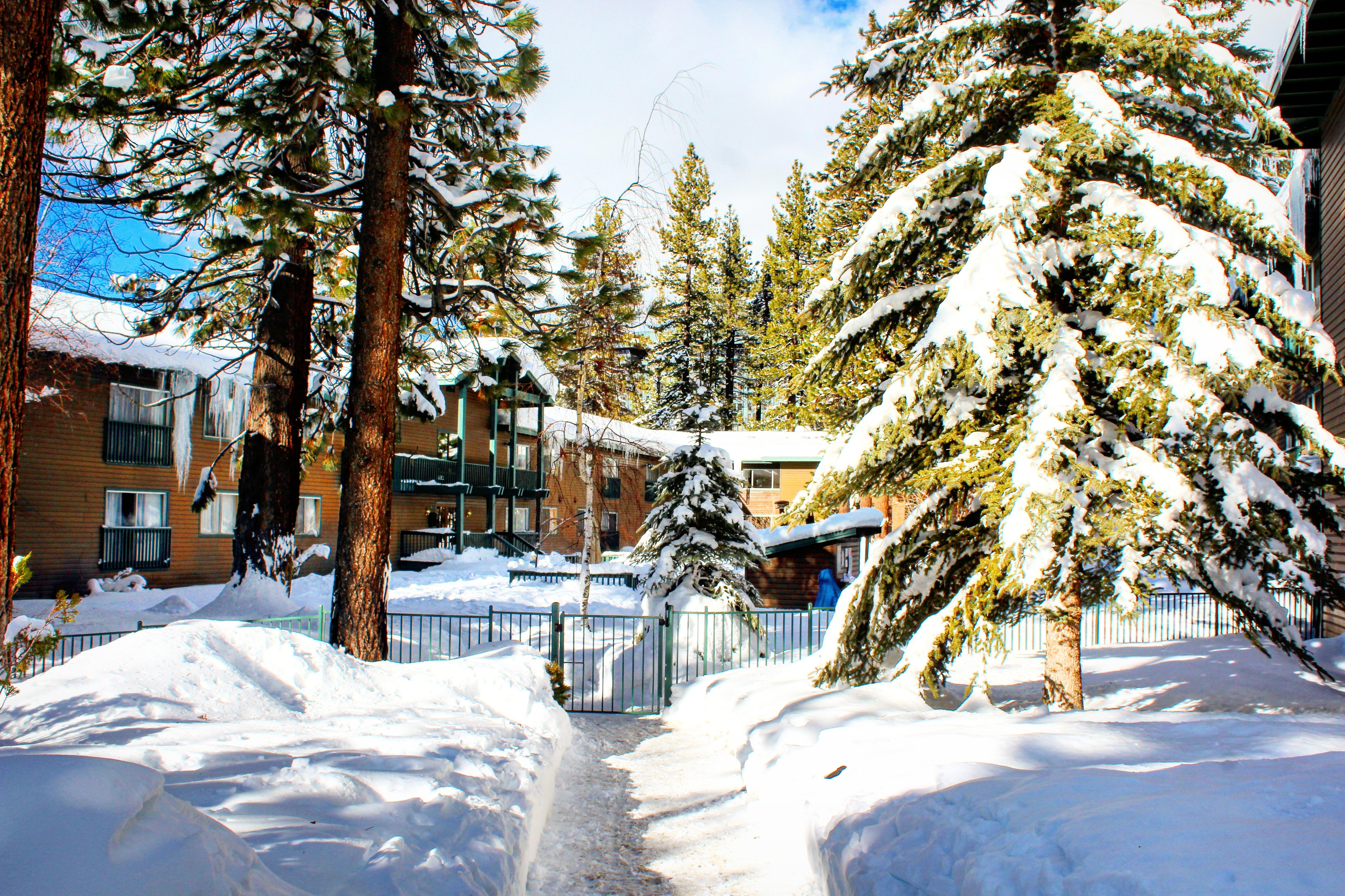 Forest Suites Resort At The Heavenly Village South Lake Tahoe Esterno foto